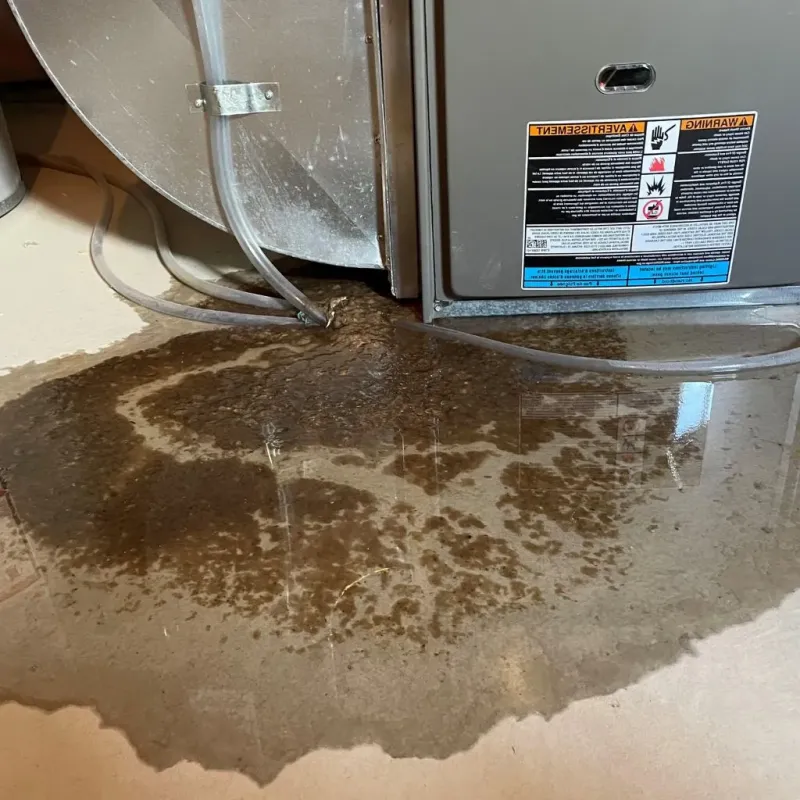 Pipe Burst and Leak Restoration in Ketchikan Gateway Borough, AK